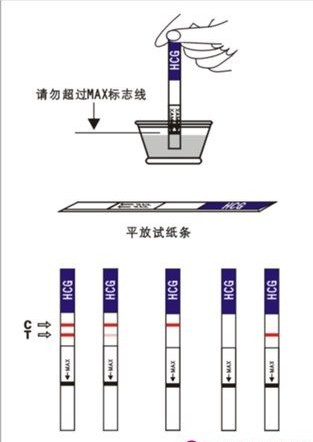 早孕试纸