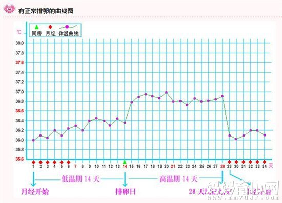 黄体不足会导致不孕吗 关于黄体的N个问答都在这里