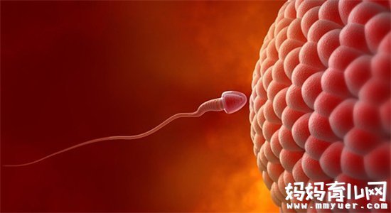 男性精子存活时间有多久 精子存活率低怎么办