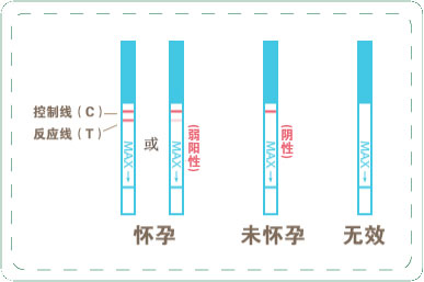 多久可以验孕 早孕试纸多久能测出来？